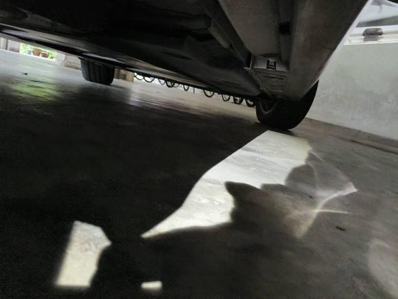 [广州·粤A] 二手丰田卡罗拉2019款 双擎 1.8L E-CVT GL-i精英版