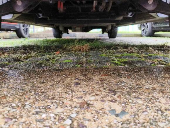 [苏州·苏E] 二手五菱汽车五菱扬光2024款 300km 舒适型客车版 75kW