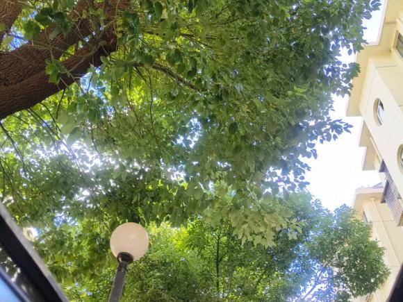 [上海·沪D] 二手奔驰奔驰E级2012款 E 200 CGI Coupe