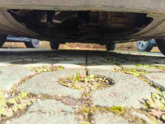 [武汉·鄂A] 二手本田飞度2008款 1.5L 自动豪华版