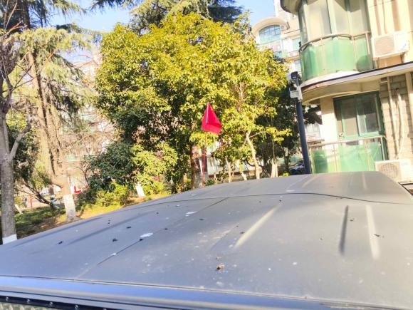 [上海·沪C] 二手北京北京BJ402020款 2.0T 自动四驱城市猎人版侠客型