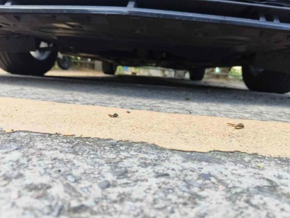 [杭州·沪C] 二手名爵MG52021款 改款 180DVVT CVT青春豪华版