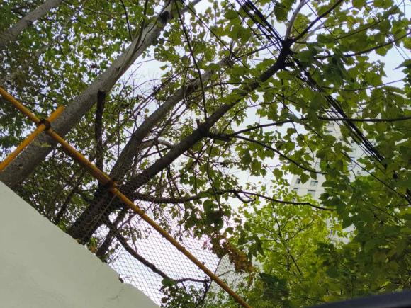 [上海·沪A] 二手沃尔沃沃尔沃S60插电式混动2022款 T8 E驱混动 四驱智逸豪华版