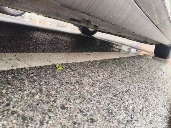 [苏州·云N] 二手别克君威2019款 20T 精英型 国VI