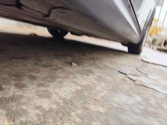 [青岛·鲁B] 二手MINIMINI2011款 1.6L ONE