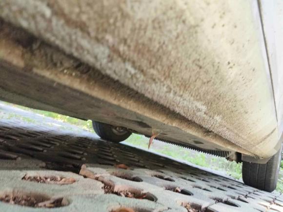 [武汉·鄂A] 二手斯柯达明锐2013款 1.6L 自动逸杰版