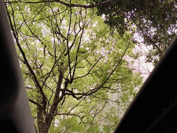 [上海·浙F] 二手奥迪奥迪A6L2016款 TFSI 技术型