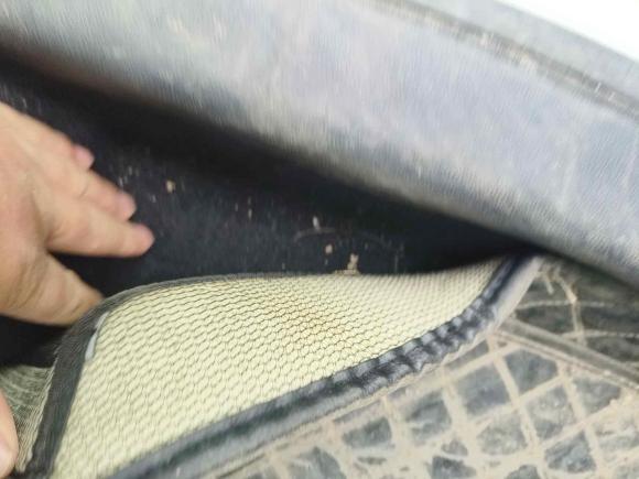 [常州·苏B] 二手福特福克斯2019款 三厢 EcoBoost 180 自动锋潮型