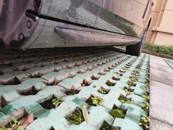 [苏州·苏U] 二手奥迪奥迪A4L2022款 40 TFSI 豪华动感型