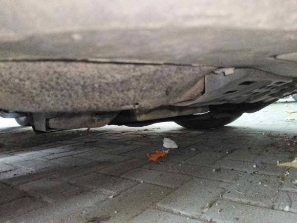 [温州·浙C] 二手比亚迪比亚迪S72015款 2.0T 自动旗舰型