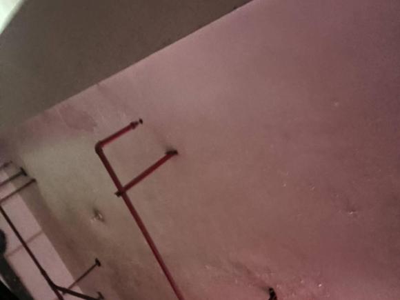 [上海·沪F] 二手奥迪奥迪A6L2009款 2.4L 技术型