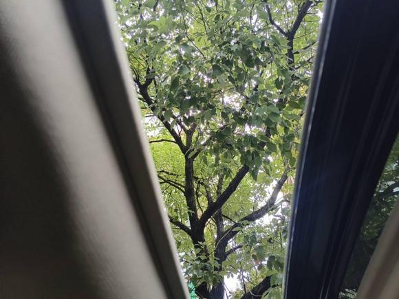 [金华·浙G] 二手丰田亚洲龙2019款 双擎 2.5L 豪华版 国V