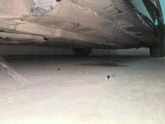 [武汉·鄂A] 二手日产天籁2008款 2.5L XL Res剧院版