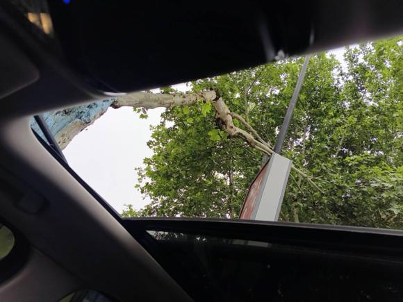 [义乌·浙G] 二手宝马宝马3系2020款 改款 325Li M运动套装