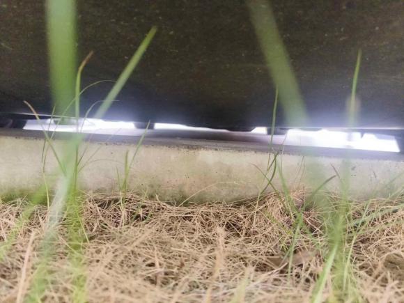 [上海·沪A] 二手特斯拉Model 32020款 改款 标准续航后驱升级版