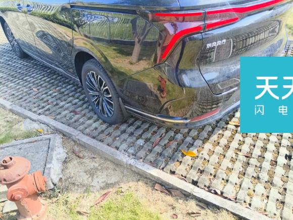 [苏州·苏E] 二手东风风行星海V92024款 1.5TD 200km 中国结系列 尊享型