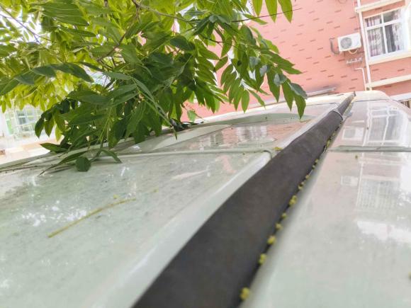 [苏州·苏E] 二手依维柯依维柯褒迪2017款 2.5T经典A32客车中顶6-7座47Z5