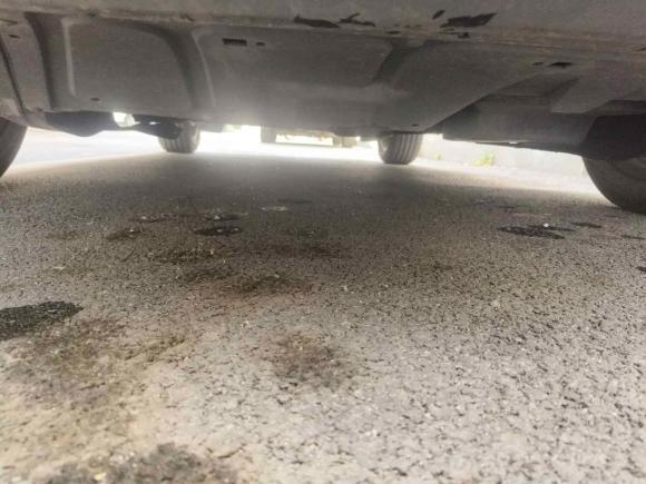 [嘉兴·浙F] 二手大众甲壳虫2010款 1.6 AT