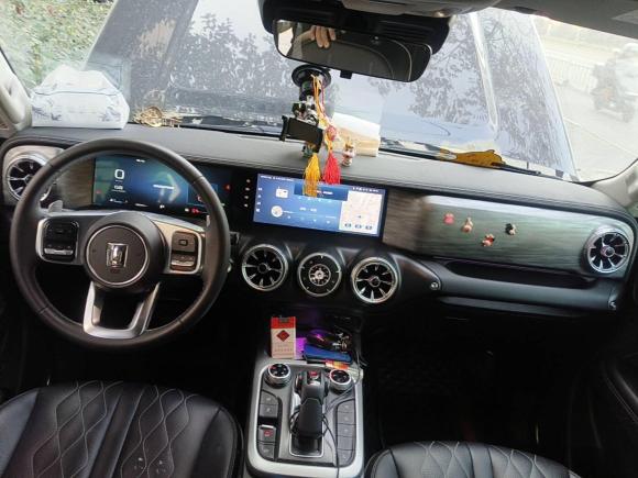 [温州·浙C] 二手坦克坦克3002021款 越野版 2.0T 挑战者