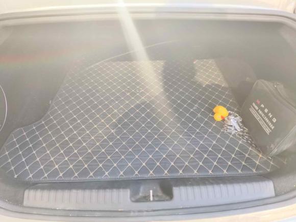 [青岛·鲁B] 二手小鹏小鹏P72020款 706G