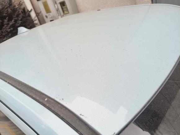 [上海·沪A] 二手五菱汽车宏光MINIEV2020款 悦享款 磷酸铁锂