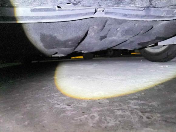 [深圳·粤X] 二手福特福睿斯2015款 1.5L 自动时尚型