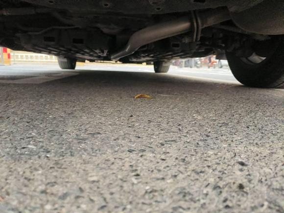 [义乌·辽A] 二手丰田凯美瑞2016款 2.0G 十周年纪念豪华版