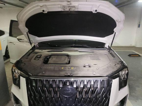 [上海·沪A] 二手广汽传祺传祺GS82022款 双擎系列 2.0TM 两驱尊贵版 （六座）