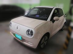 [嘉兴·浙F] 欧拉欧拉黑猫2022款 改款 301km 萌宠版 磷酸铁锂