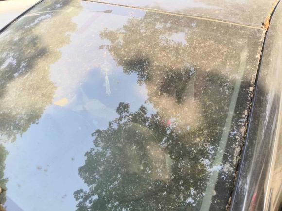 [宁波·浙B] 二手雪佛兰迈锐宝2018款 530T 自动风尚版