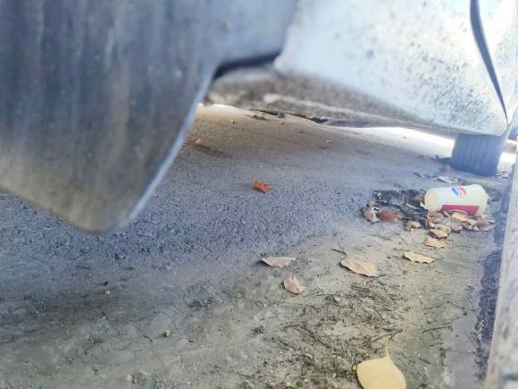 [上海·苏N] 二手大众朗逸2021款 1.5L 自动舒适版