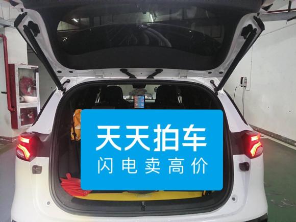 [上海·沪A] 二手比亚迪唐新能源2021款 DM-i 112KM 尊荣型