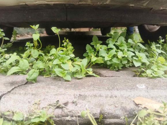 [武汉·鄂A] 二手马自达马自达CX-72011款 2.5L 豪华型