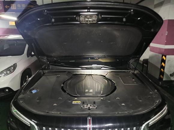 [南京·苏A] 二手红旗红旗H92022款 2.0T 智联旗享版