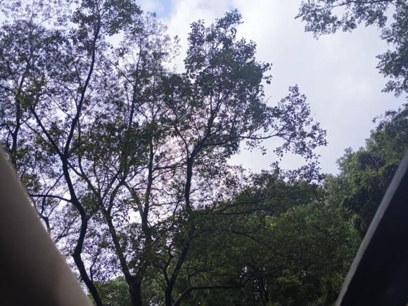 [上海·沪J] 二手宝马宝马5系2009款 520Li 领先型