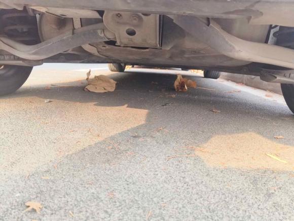 [上海·沪C] 二手奔驰奔驰B级2009款 B 200 时尚型