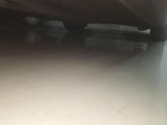 [上海·沪C] 二手福特福睿斯2021款 1.5L 自动钻石版