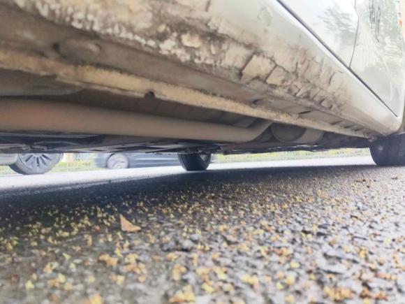 [台州·浙J] 二手本田飞度2011款 1.3L 自动舒适版