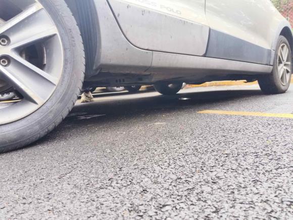 [上海·赣L] 二手大众Polo2012款 1.6L Cross Polo AT