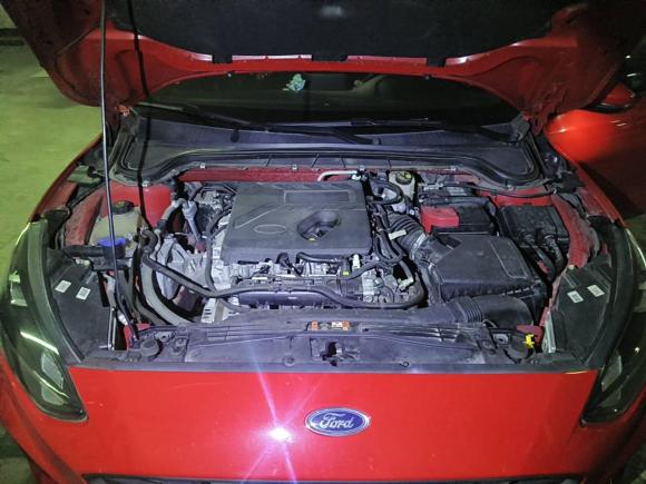 [上海·苏U] 二手福特福克斯2020款 两厢 EcoBoost 180 自动ST Line