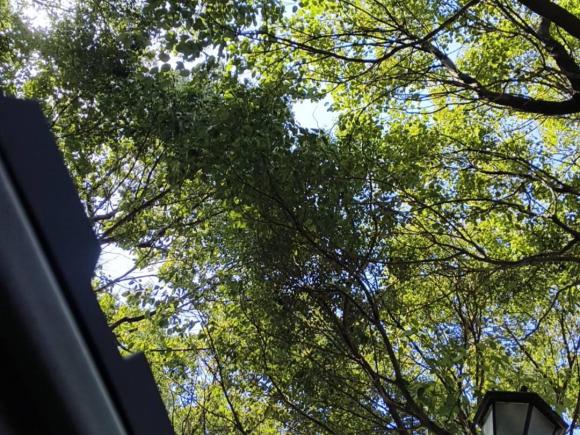 [上海·沪N] 二手宝马宝马3系2017款 320Li 时尚型