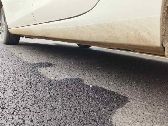 [杭州·豫N] 二手福特福睿斯2021款 1.5L 自动钻石版