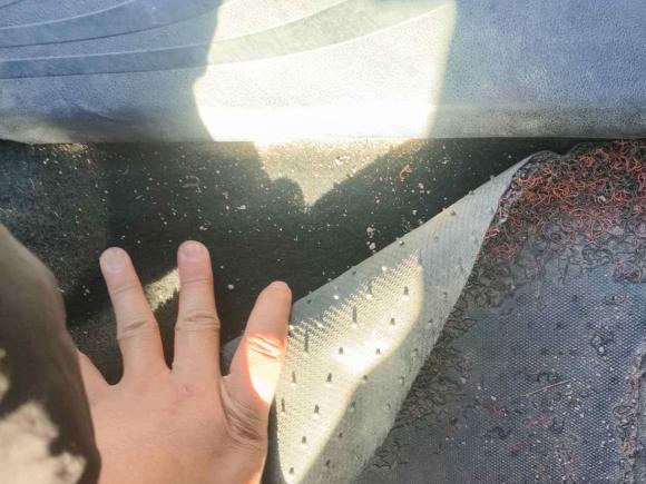 [嘉兴·浙F] 二手长城炮2021款 2.0T商用版自动柴油两驱精英型长箱GW4D20M