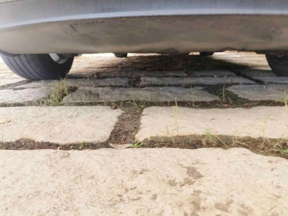[上海·沪A] 二手特斯拉Model 32020款 标准续航后驱升级版