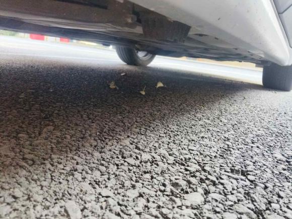 [杭州·浙A] 二手宝马宝马X12021款 sDrive20Li 尊享型