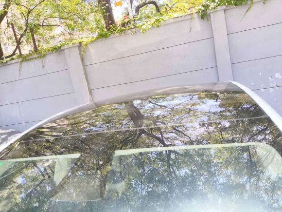 [上海·沪A] 二手特斯拉Model Y2022款 Performance高性能全轮驱动版