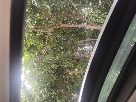 [广州·粤W] 二手MINIMINI2016款 1.2T ONE 先锋派 五门版