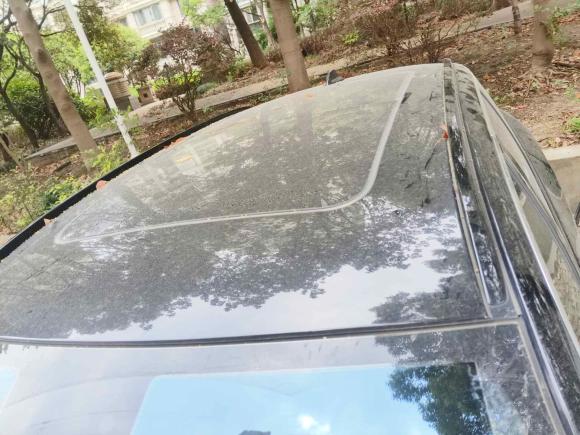 [上海·沪A] 二手蔚来蔚来ES62020款 430KM 性能版