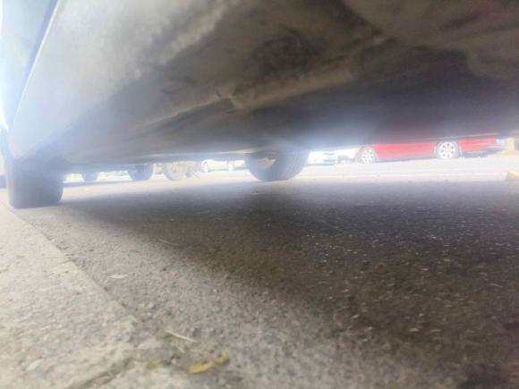 [上海·苏U] 二手大众高尔夫2021款 280TSI DSG 30周年纪念版