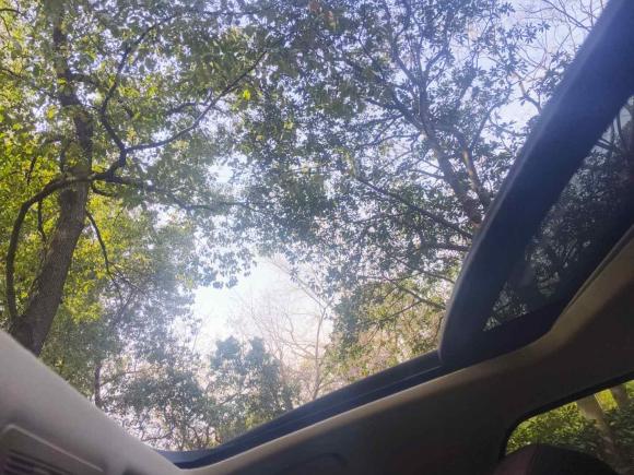 [上海·沪B] 二手宝马宝马5系2017款 525Li 豪华设计套装